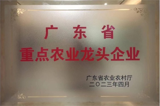 PA旗舰厅(中国区)官方网站 - PlayAce