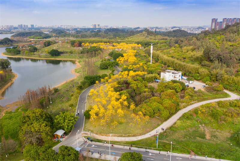 PA旗舰厅(中国区)官方网站 - PlayAce