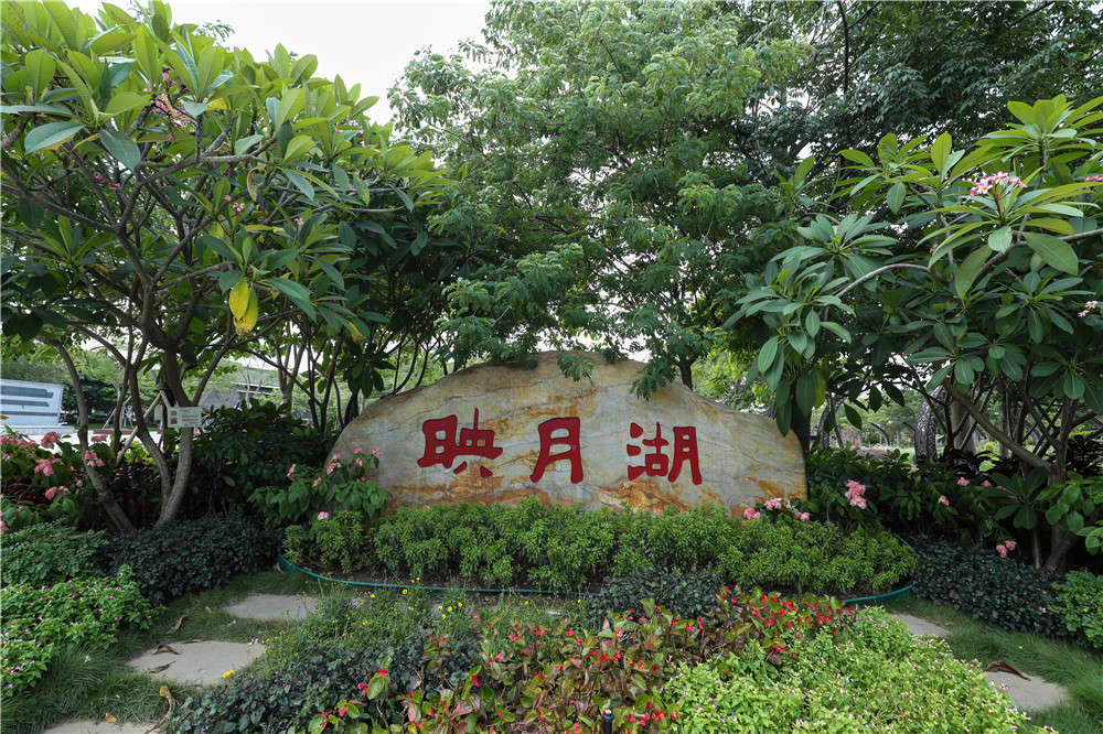 PA旗舰厅(中国区)官方网站 - PlayAce