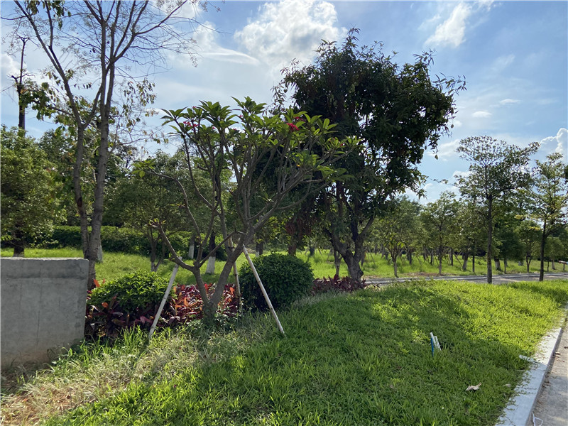 PA旗舰厅(中国区)官方网站 - PlayAce