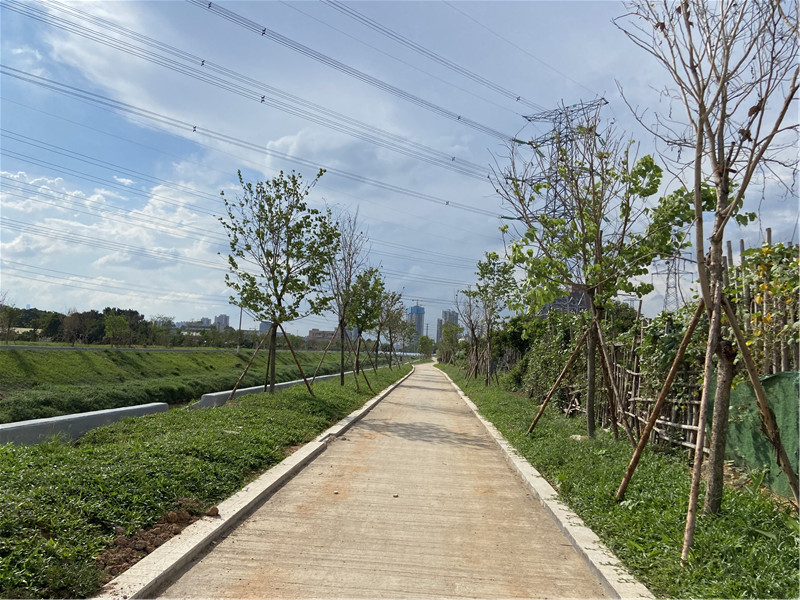 PA旗舰厅(中国区)官方网站 - PlayAce