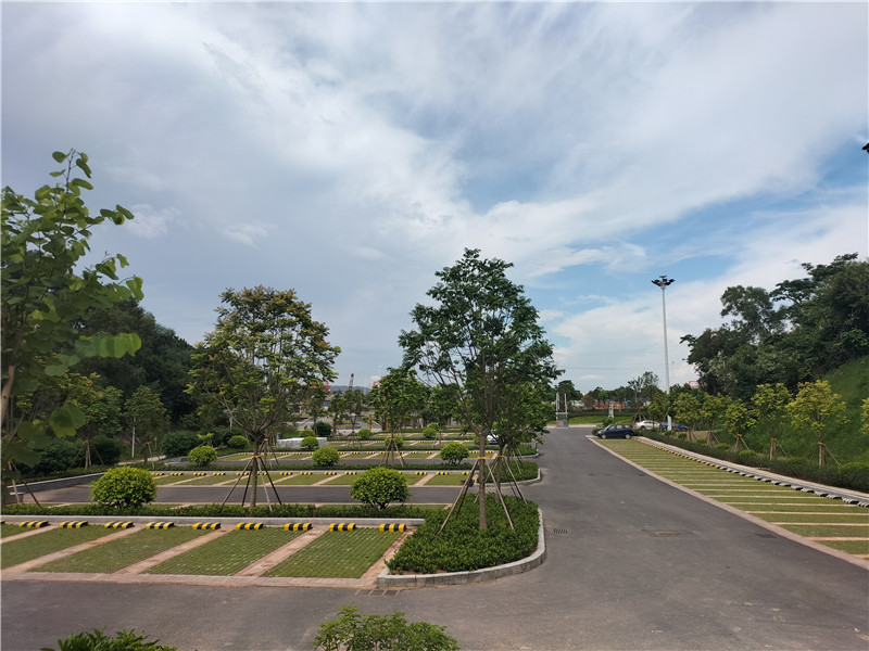 PA旗舰厅(中国区)官方网站 - PlayAce