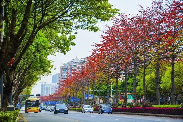 PA旗舰厅(中国区)官方网站 - PlayAce