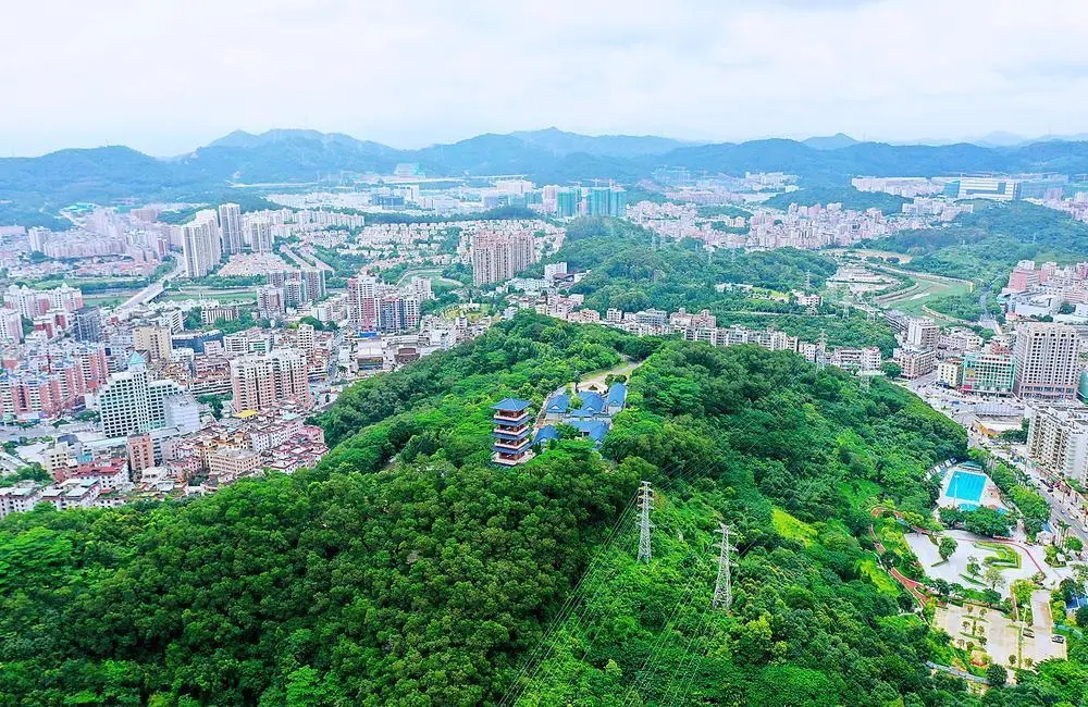 PA旗舰厅(中国区)官方网站 - PlayAce