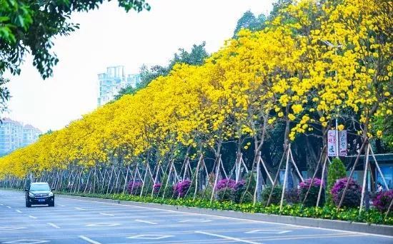 PA旗舰厅(中国区)官方网站 - PlayAce