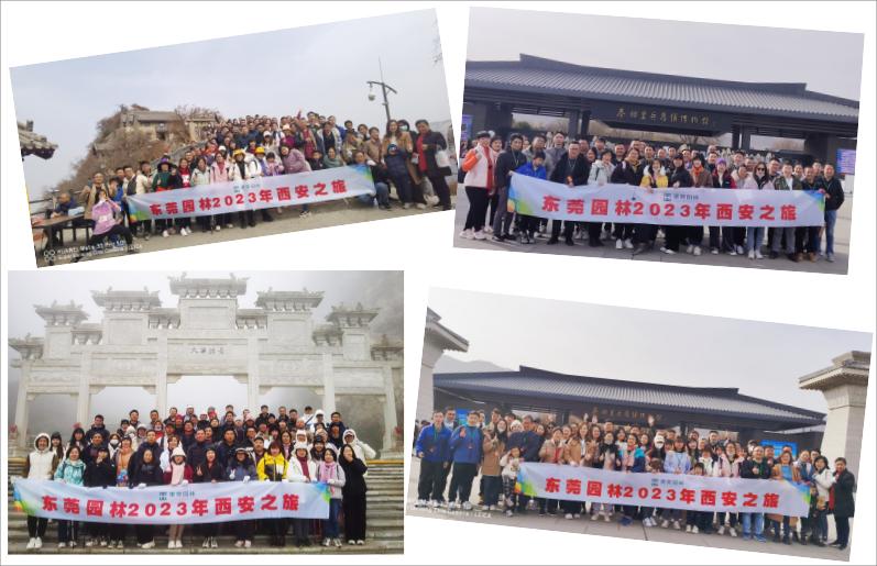 PA旗舰厅(中国区)官方网站 - PlayAce