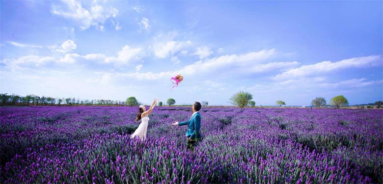 PA旗舰厅(中国区)官方网站 - PlayAce