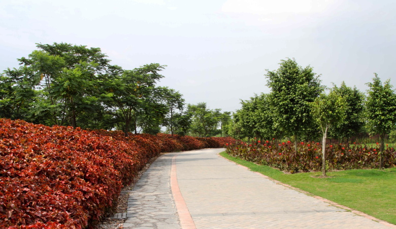 PA旗舰厅(中国区)官方网站 - PlayAce