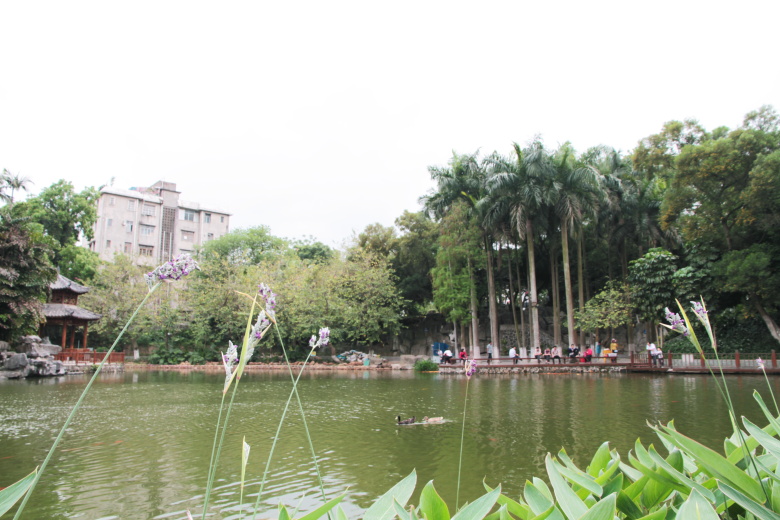 PA旗舰厅(中国区)官方网站 - PlayAce