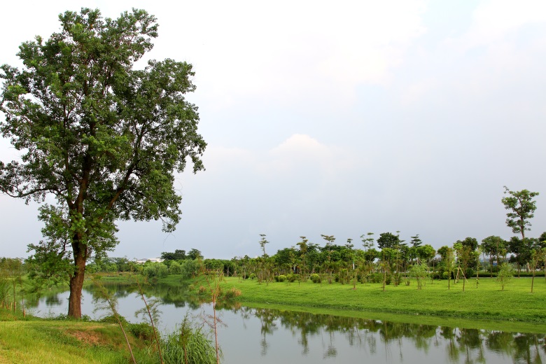 PA旗舰厅(中国区)官方网站 - PlayAce