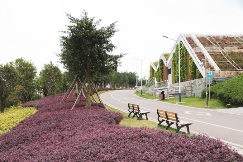 PA旗舰厅(中国区)官方网站 - PlayAce