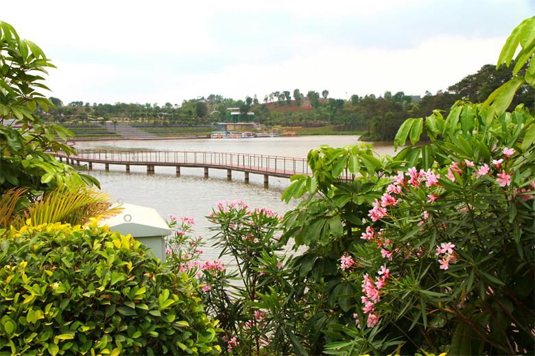 PA旗舰厅(中国区)官方网站 - PlayAce