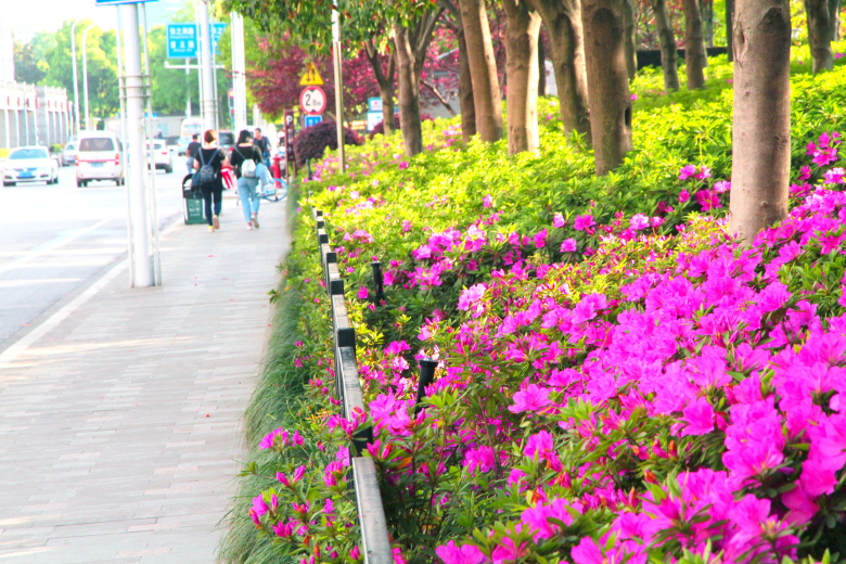 PA旗舰厅(中国区)官方网站 - PlayAce