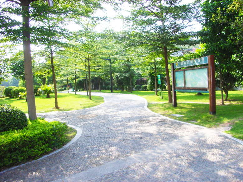 PA旗舰厅(中国区)官方网站 - PlayAce