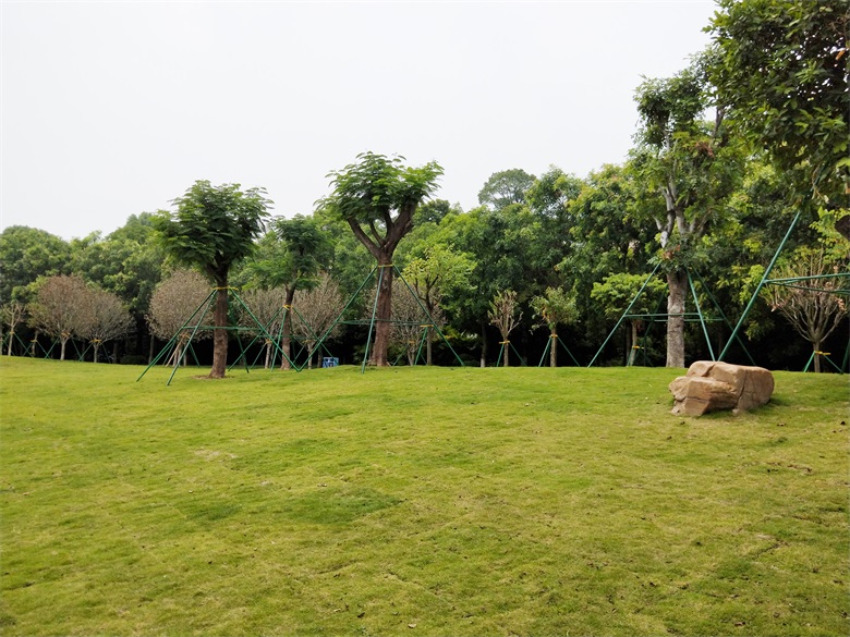 PA旗舰厅(中国区)官方网站 - PlayAce