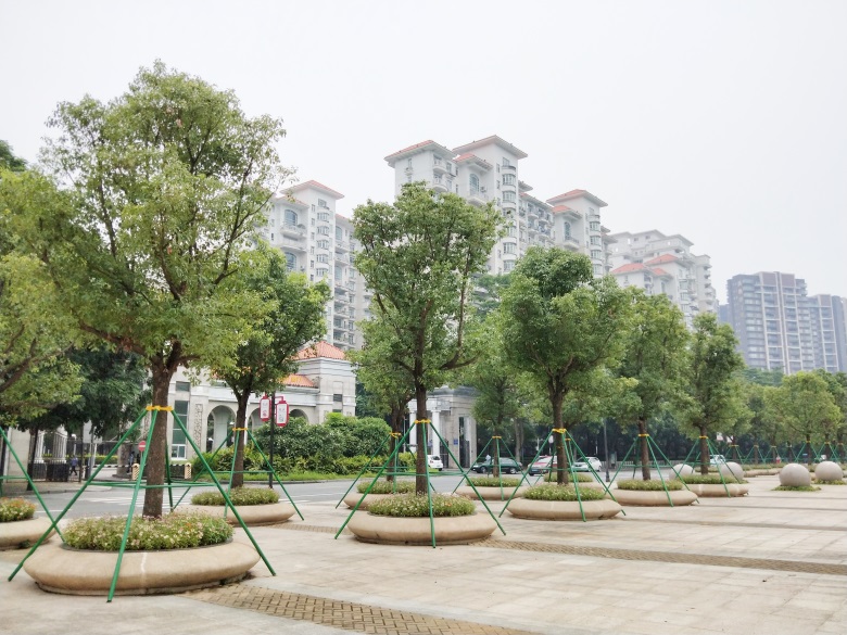 PA旗舰厅(中国区)官方网站 - PlayAce