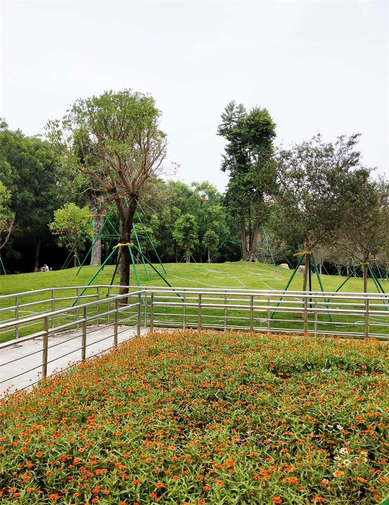 PA旗舰厅(中国区)官方网站 - PlayAce