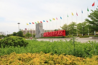 晋江市2017-2019年度道路绿化养护及硬地保洁服务