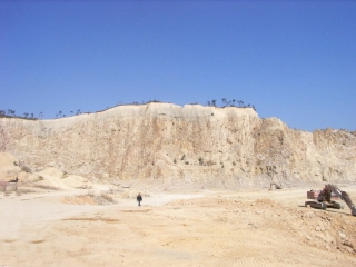 大岭山金裕、永顺石场复绿工程