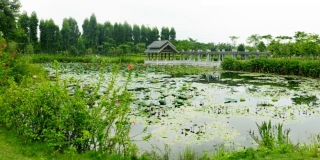 下沙湿地建设工程