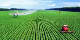 农业农村发展新业态 如何发展好花海经济？