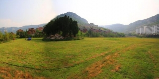 国家林业局发布2016年中国国土绿化状况公报