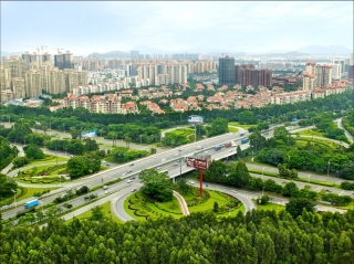 东莞大道东段PA旗舰厅绿化养护