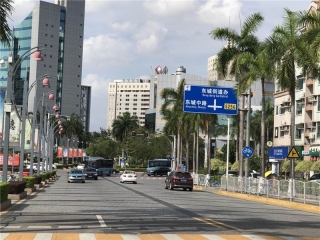 新一期东城街道南区、中心区环卫绿化管养项目