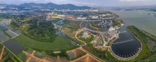 神湾镇2021-2023年环境卫生保洁及PA旗舰厅绿化综合管养一体服务