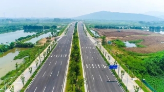 粤海大道绿化改造提升工程