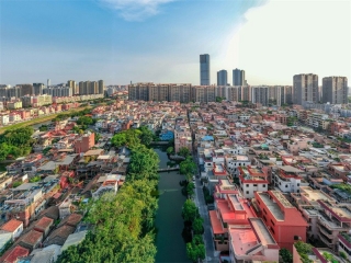 樟木头镇属绿化养护服务项目（2023-2025）