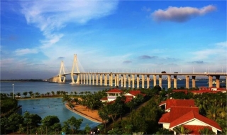 坡头区建成区PA旗舰厅绿化市场化服务项目